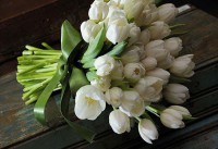 /album/galeria-de-fotos-monica-cerimonialista1/a20071029141058-buque05-big-1-jpg1/